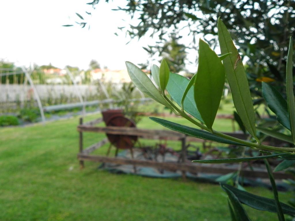 30号农家乐 Moniga del Garda 外观 照片