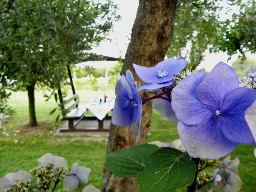 30号农家乐 Moniga del Garda 外观 照片